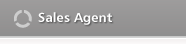 Sales Agent